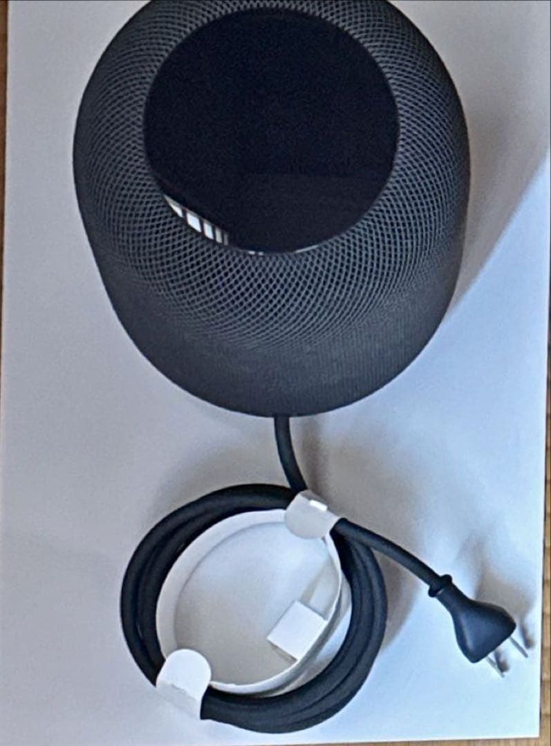 【美品】Apple pod 第1世代 スペースグレー