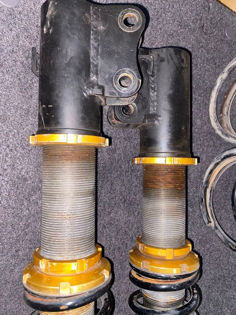 ウスシオタラコ