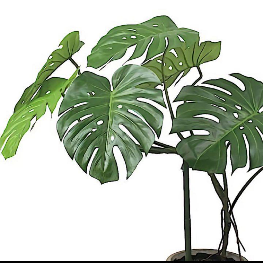 光触媒　人工観葉植物　ウォールグリーン　フェイクグリーン　モンステラ110
