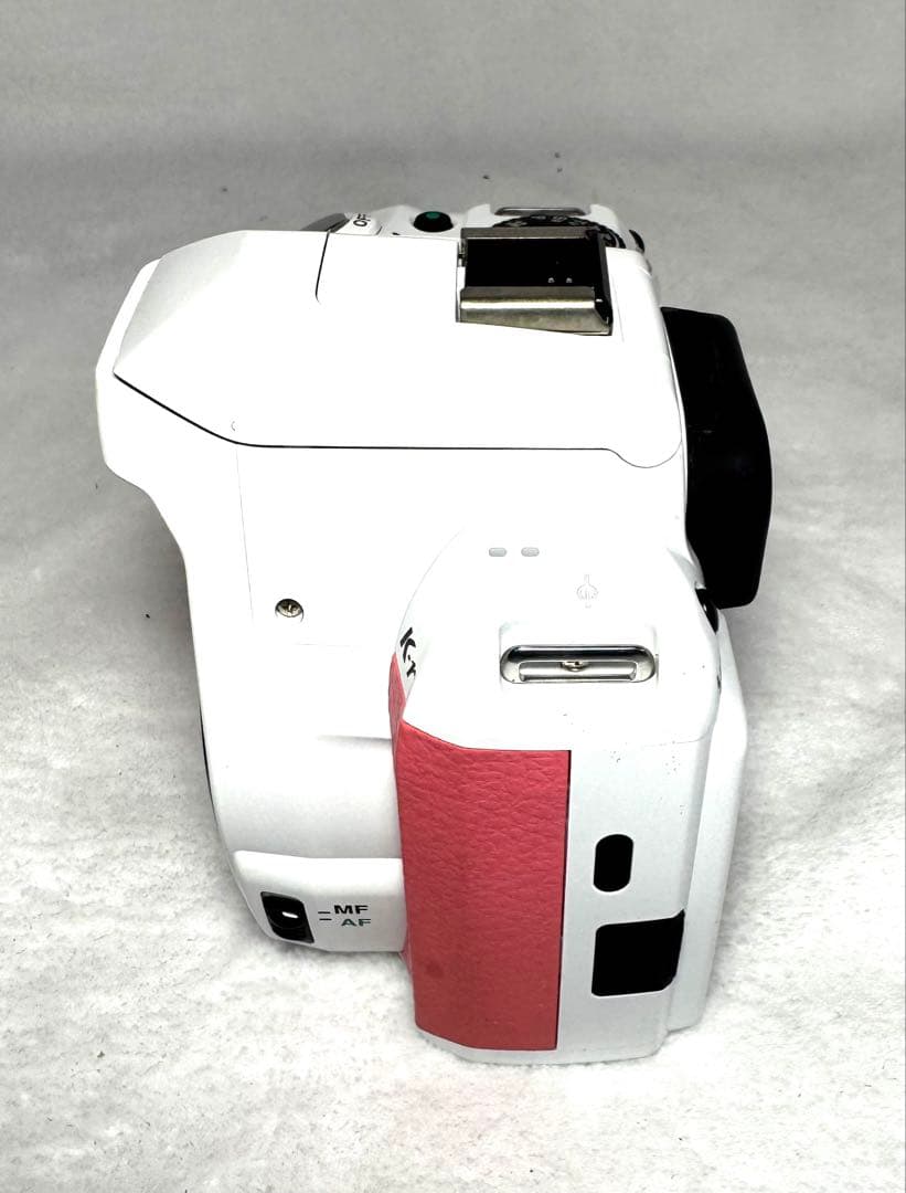 PENTAX K-r、 55-300mm F4-5.8 ED #2897