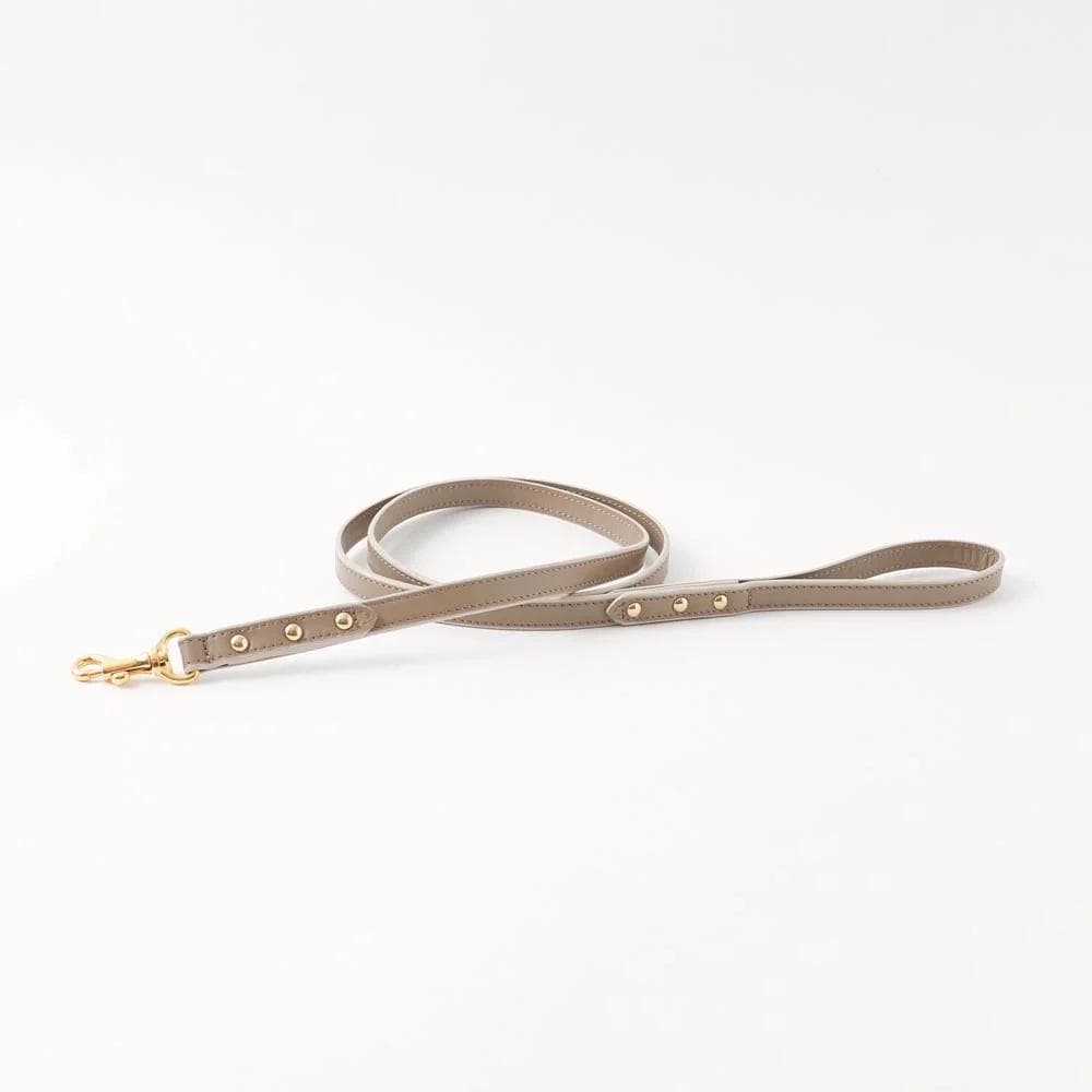 monchéri モンシェリ 反射首輪 バイカラーレザーリード セット 新品