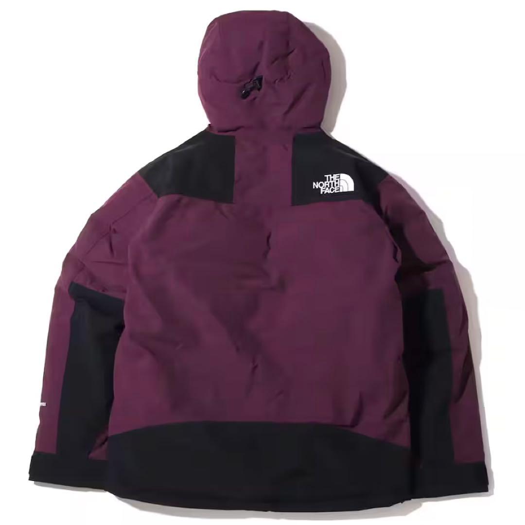 ジャケット・アウター [THE NORTH FACE] Mountain Down Jacket