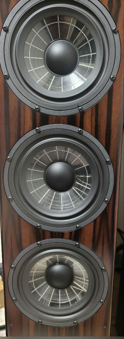 スピーカー・ウーファー Vienna acoustics BEETHOVEN CONCERT GRAND