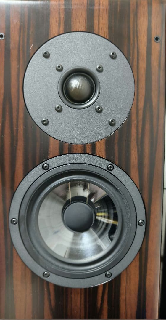 スピーカー・ウーファー Vienna acoustics BEETHOVEN CONCERT GRAND