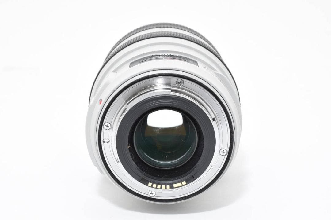 キヤノン CANON EF 70-300mm F4-5.6 L IS USM