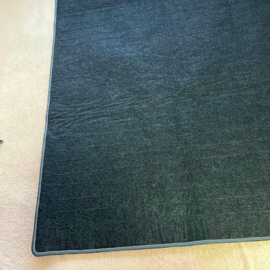 Panasonic DC-3HAC1-C 電気カーペット 3畳用