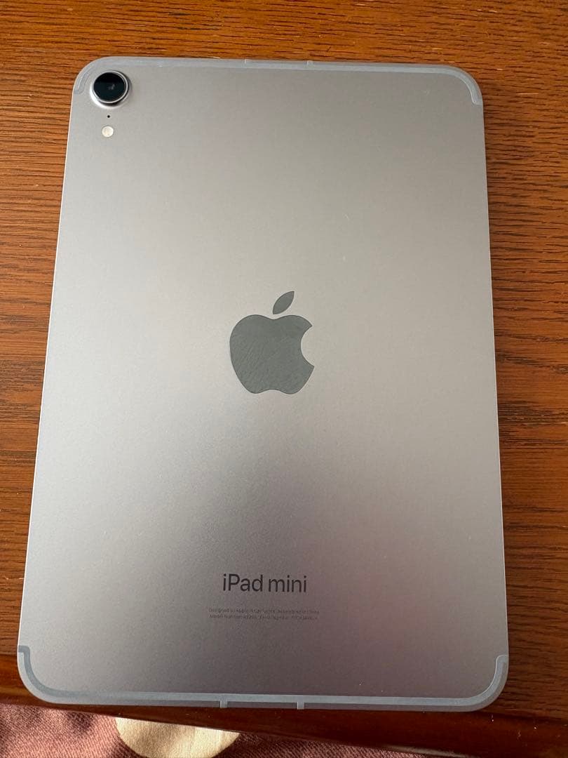 最新 iPad mini Wi-Fi + Cellular 第7世代128GB