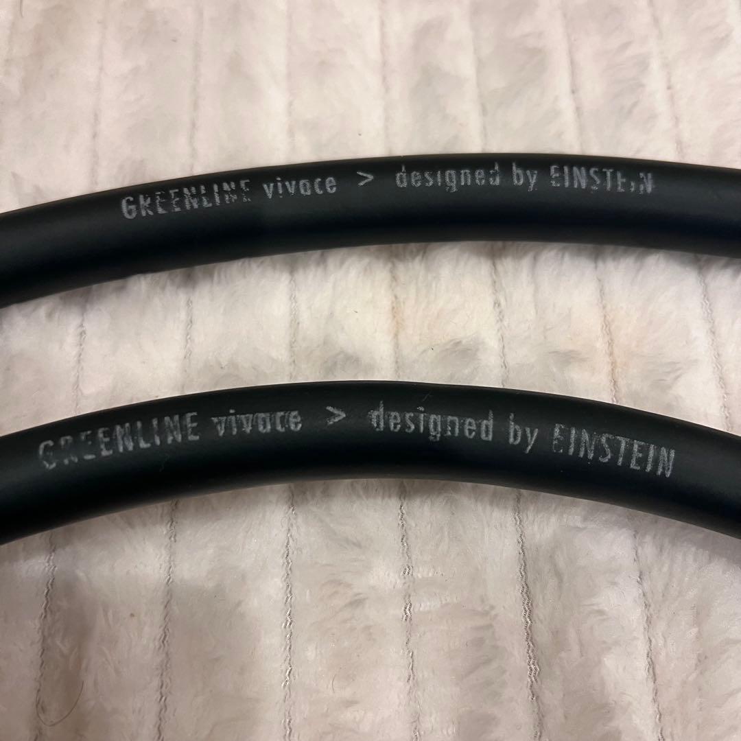 Greenline Vivace ペア　スピーカーケーブル