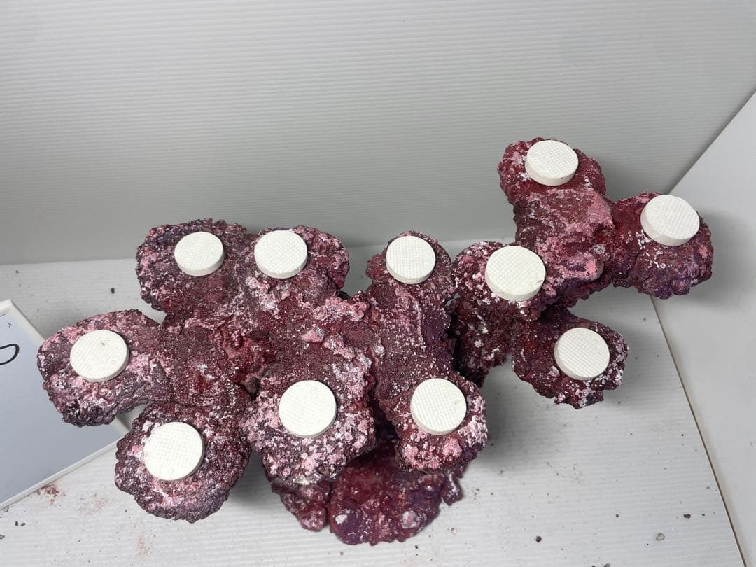 【送料無料】人工ライブロック　PHR36／11穴加工　アク抜き済み安心塗料使用