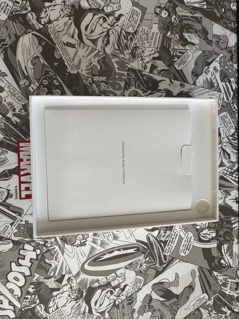 Apple iPad mini (第6世代) 256GB