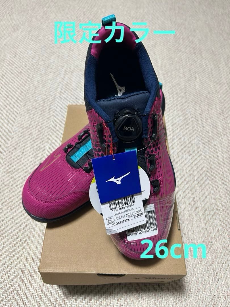 新品　26.0cm 限定カラー　Mizuno BOAシステム安全靴