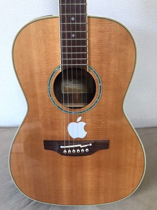 Takamine エレアコ　PTU441N ピースマンさん専用