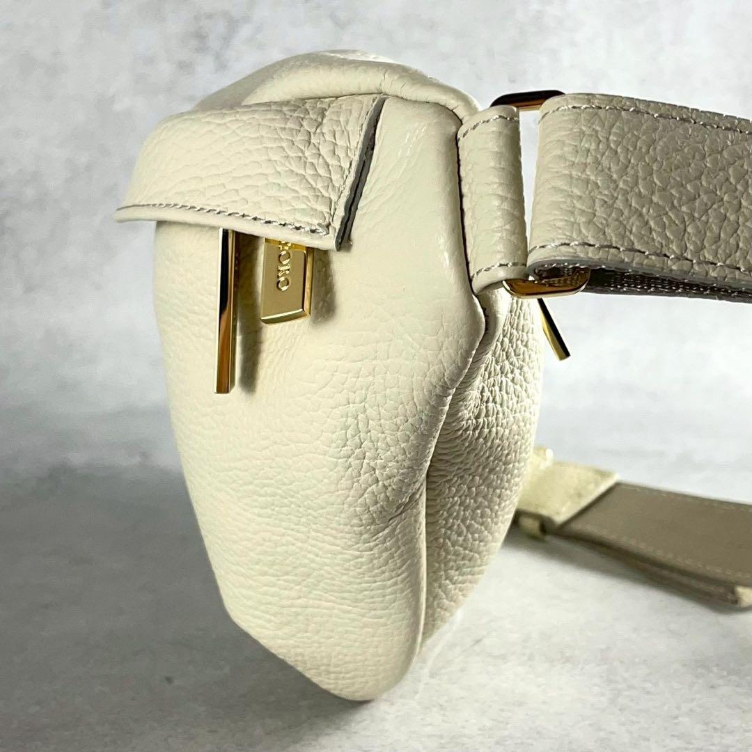 【極美品】ヴィオラドーロ ボディバッグ シボ革 ゴールド金具 金文字ロゴ 保存袋