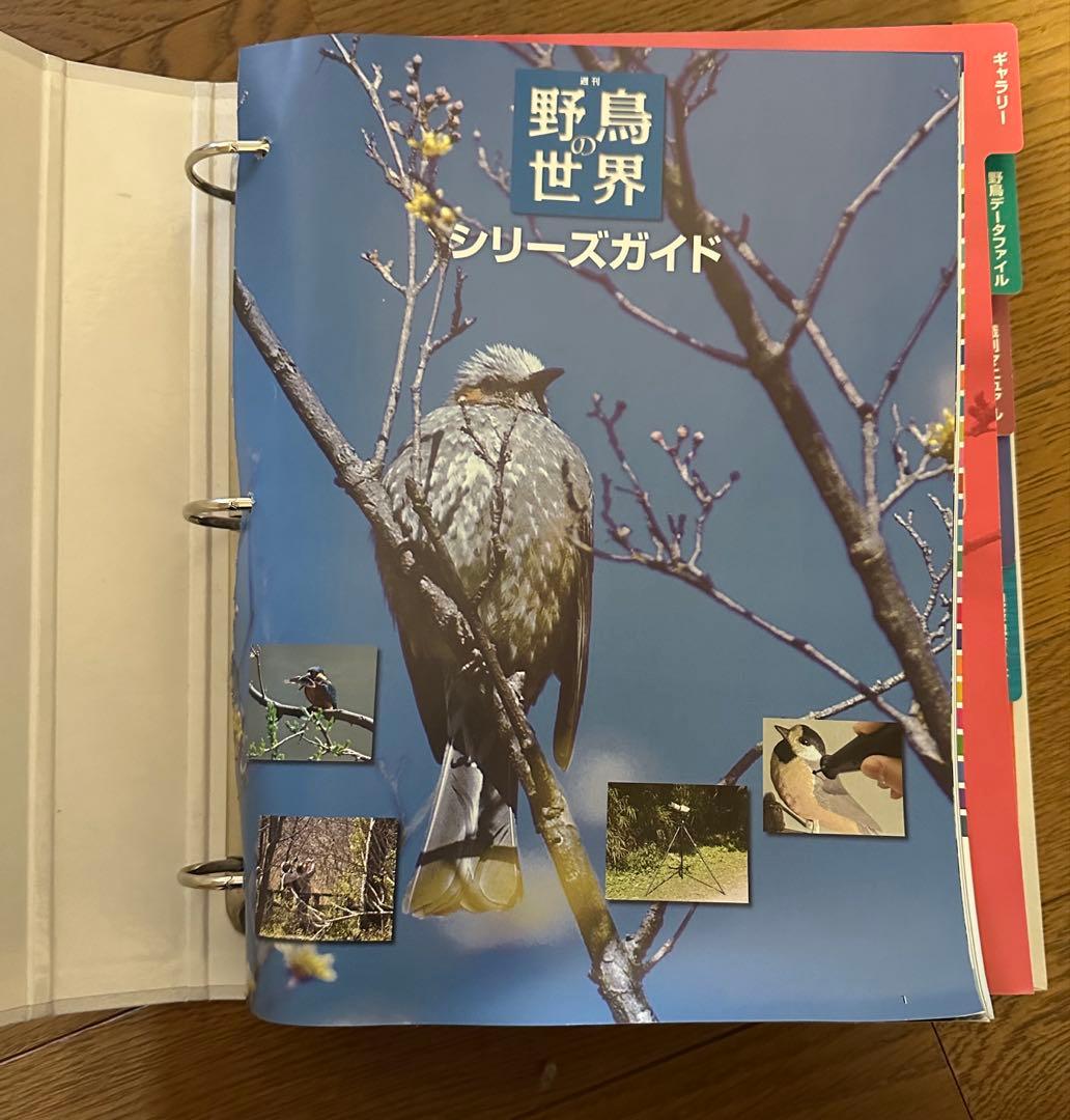 週刊　野鳥の世界　全121号セット【専用バインダー付き】