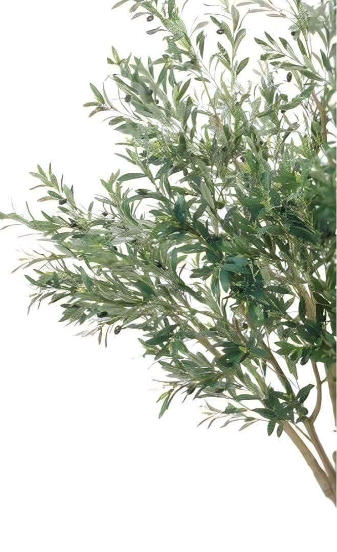 光触媒　人工観葉植物　ウォールグリーン　フェイクグリーン　オリーブ250センチ