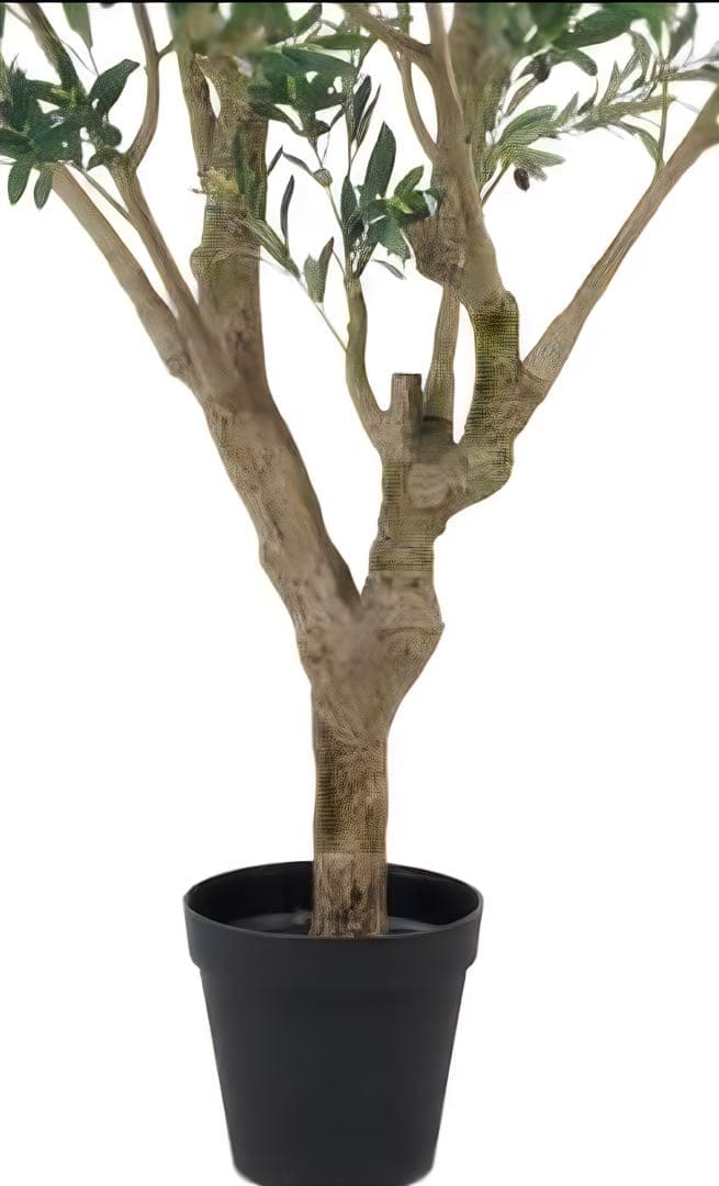 光触媒　人工観葉植物　ウォールグリーン　フェイクグリーン　オリーブ250センチ