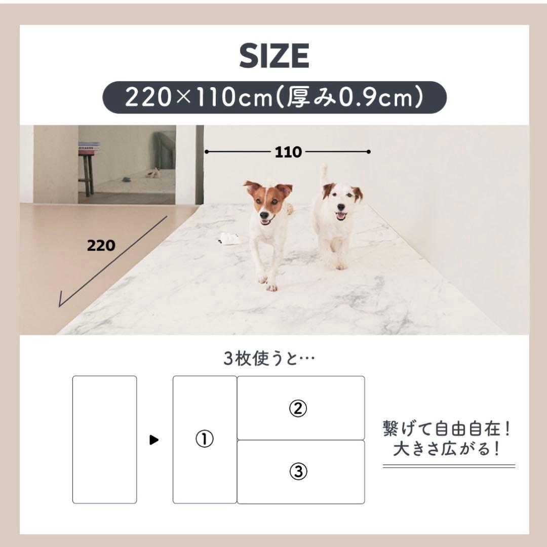 p!nkさま専用　ピュリナ付き