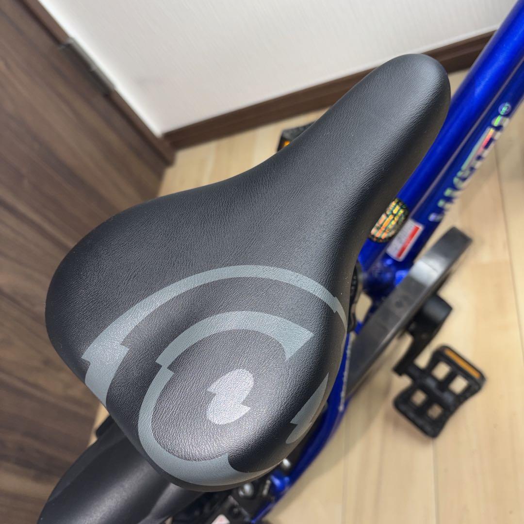 D-BIKE ディーバイク　MASTAR + 14インチ 補助輪付き
