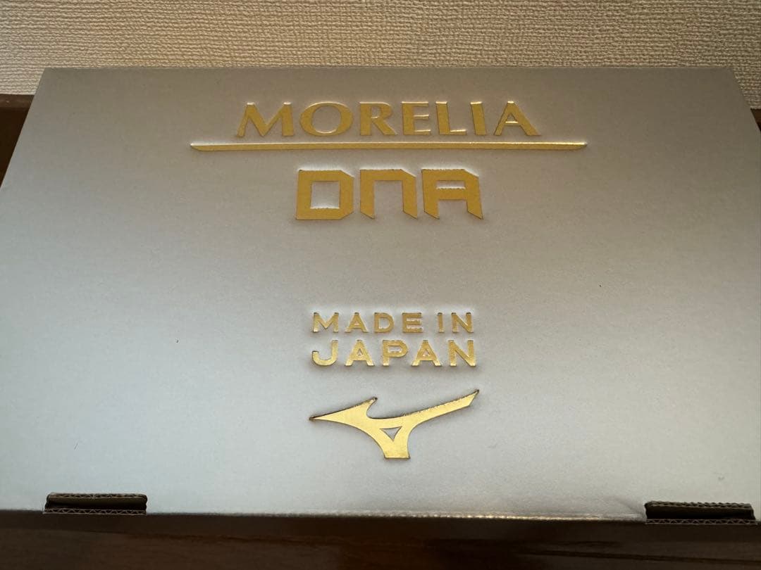 Mizuno モレリア DNA 25cm