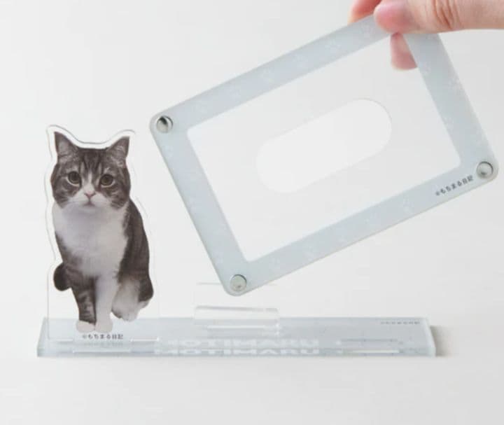 もちまる日記　もち様　アクリルスタンド　カードスタンド　202307052333