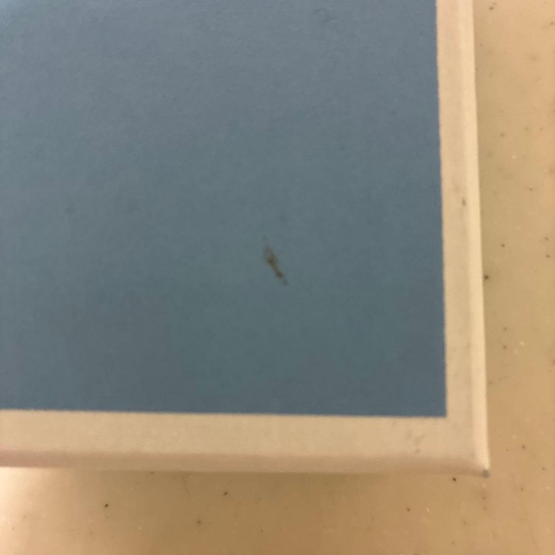 【未使用品】ウェッジウッド　フロレンティーン　サーモンピンク　プレート20cm