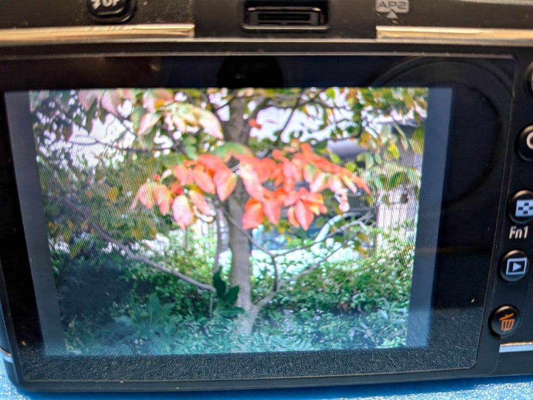 【極上・買得】 TTArtisan 35mm f/1.4 　M4/3マウント