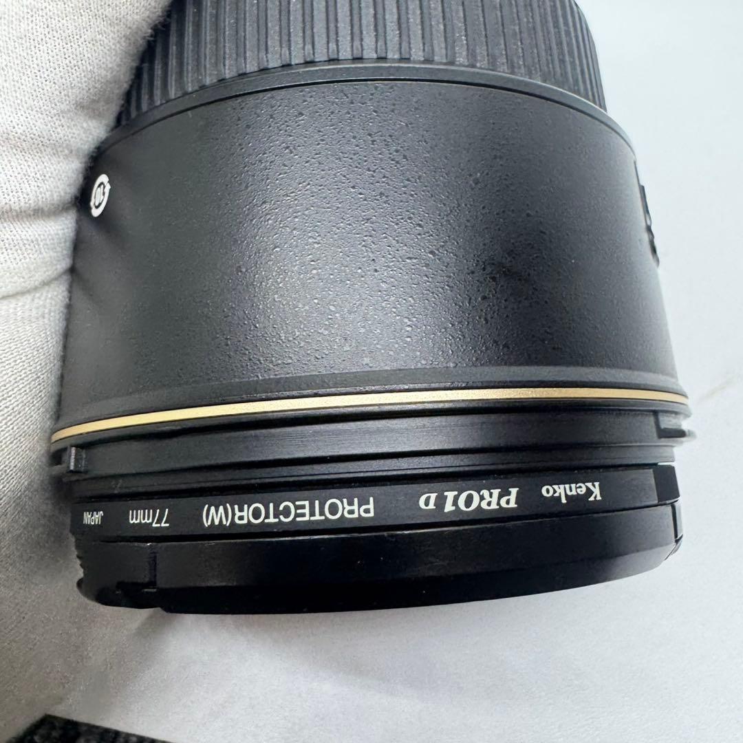 ニコンAF-S DX Zoom-Nikkor 17-55mm f/2.8G