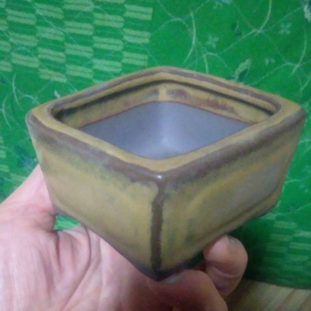 ミニ鉢、盆栽鉢、盆栽小鉢、鉢、植木鉢、山野草鉢、盆栽