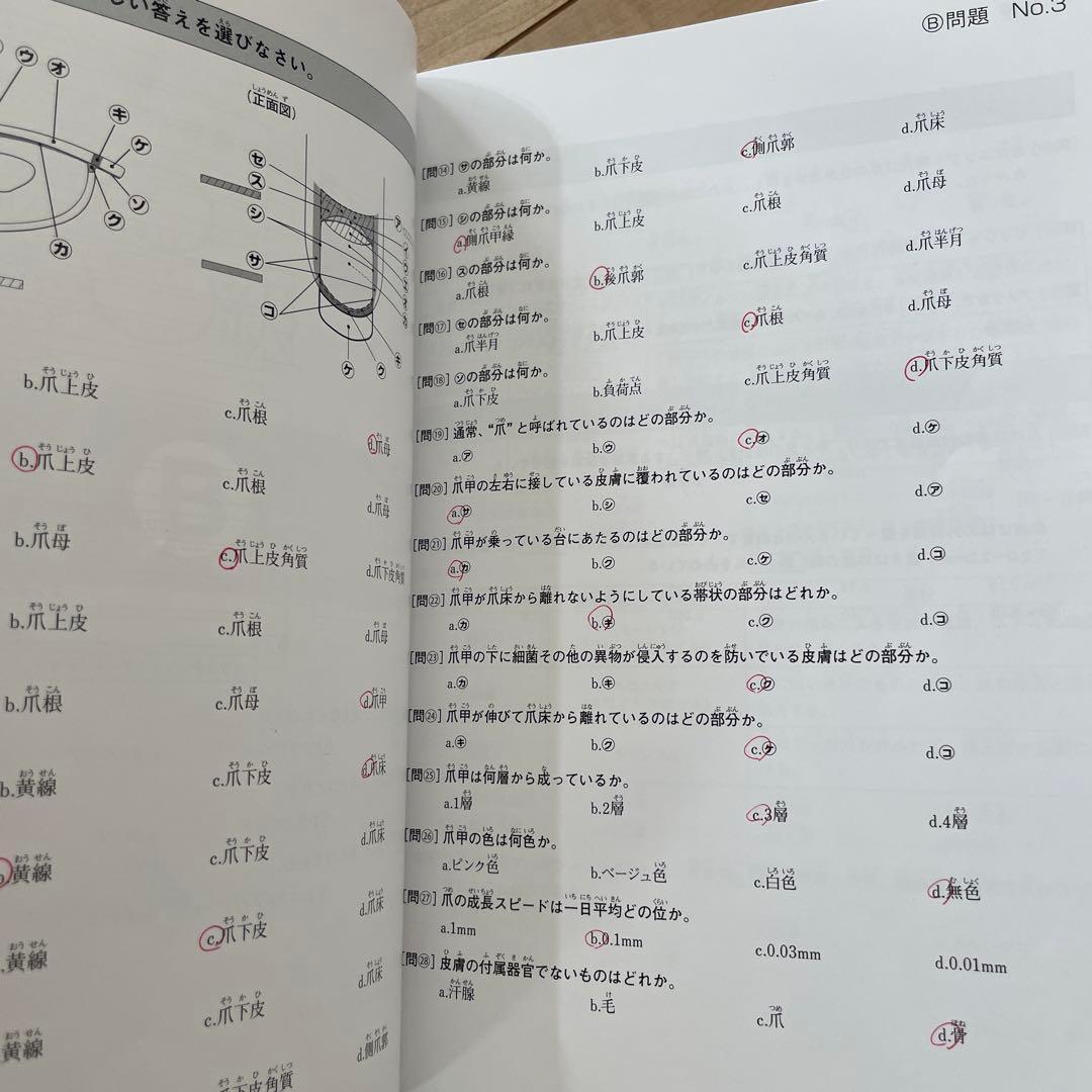 JNAネイル検定3級 実技セット