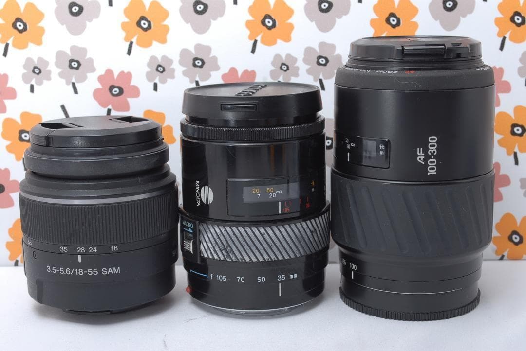 ❤SONY α65❤1秒10コマの高速連射❤トリプルレンズ❤超望遠❤超高画質❤