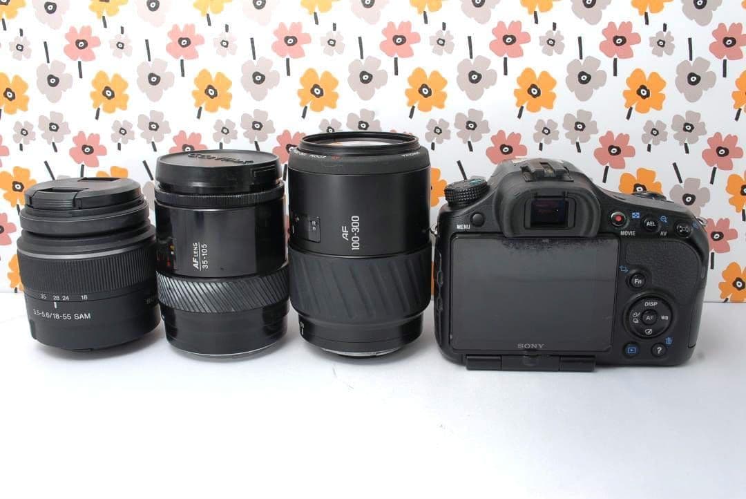 ❤SONY α65❤1秒10コマの高速連射❤トリプルレンズ❤超望遠❤超高画質❤