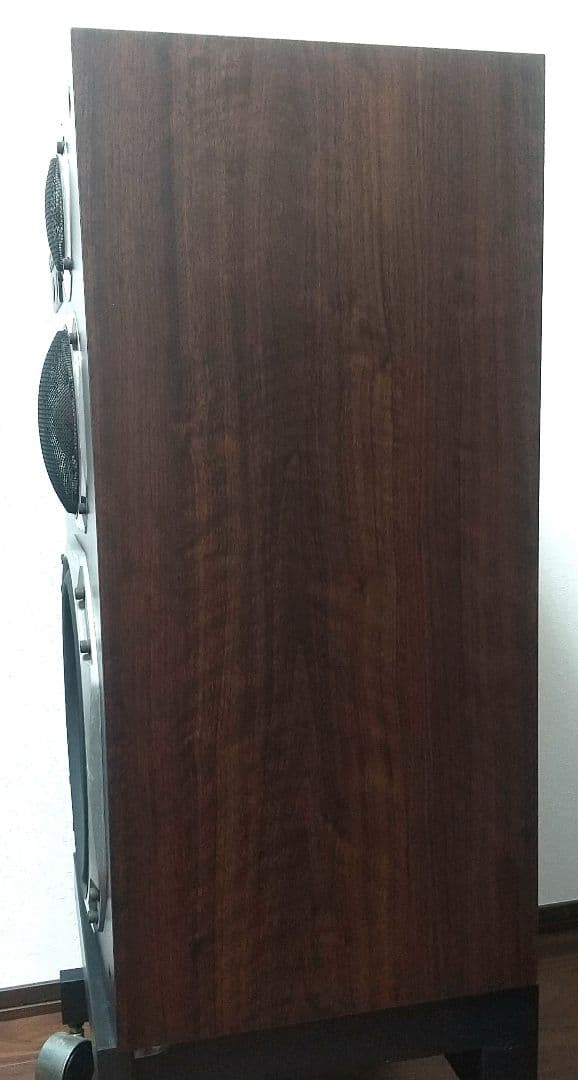 ダイヤトーン DS503 （L）1点