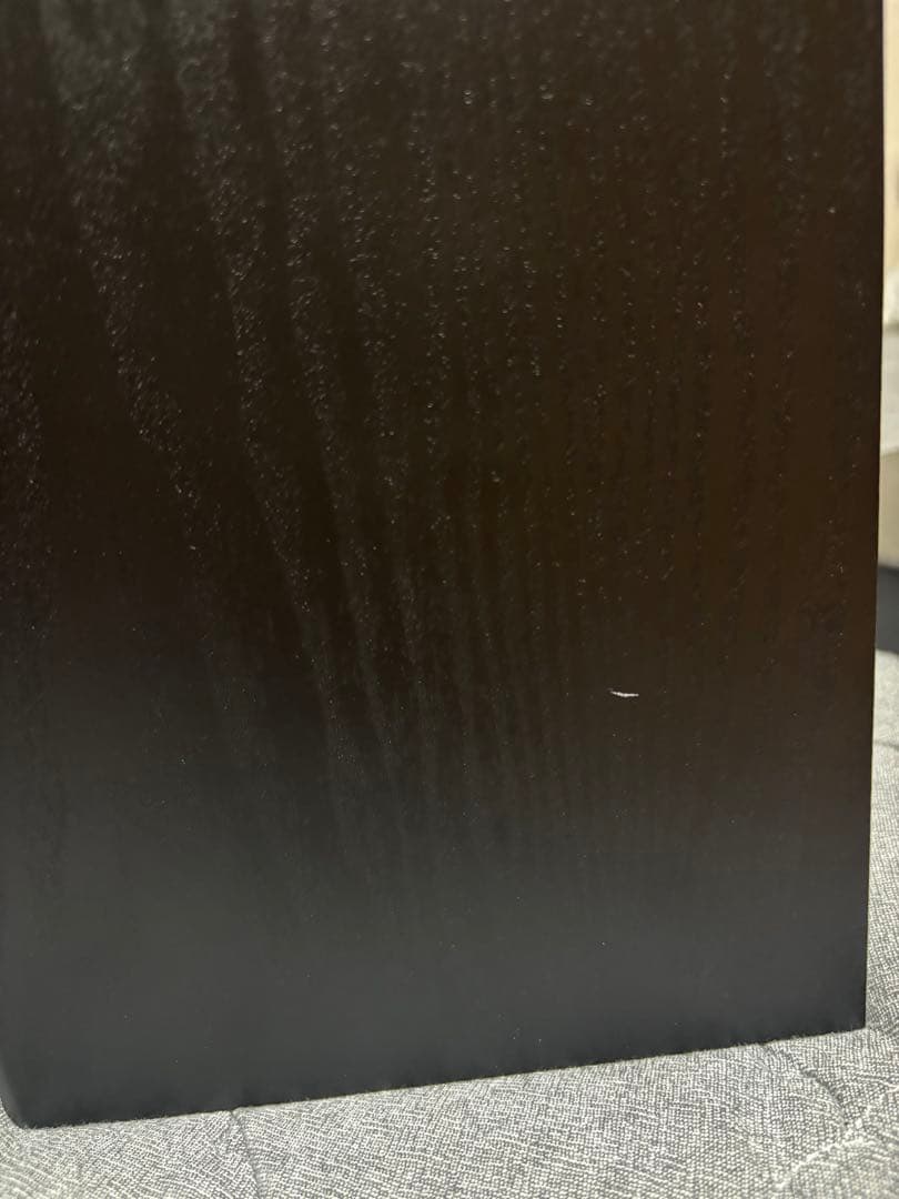 【最終値下げ】DALI spektor 1 パッシブスピーカー