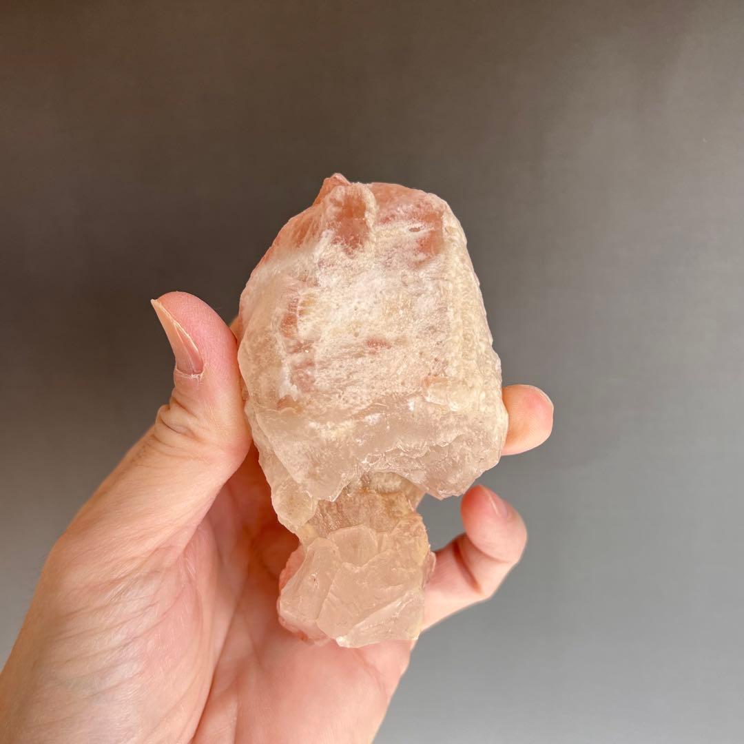 超レア　金魚型ストロベリーレムリアン　　クラスター　　可愛い