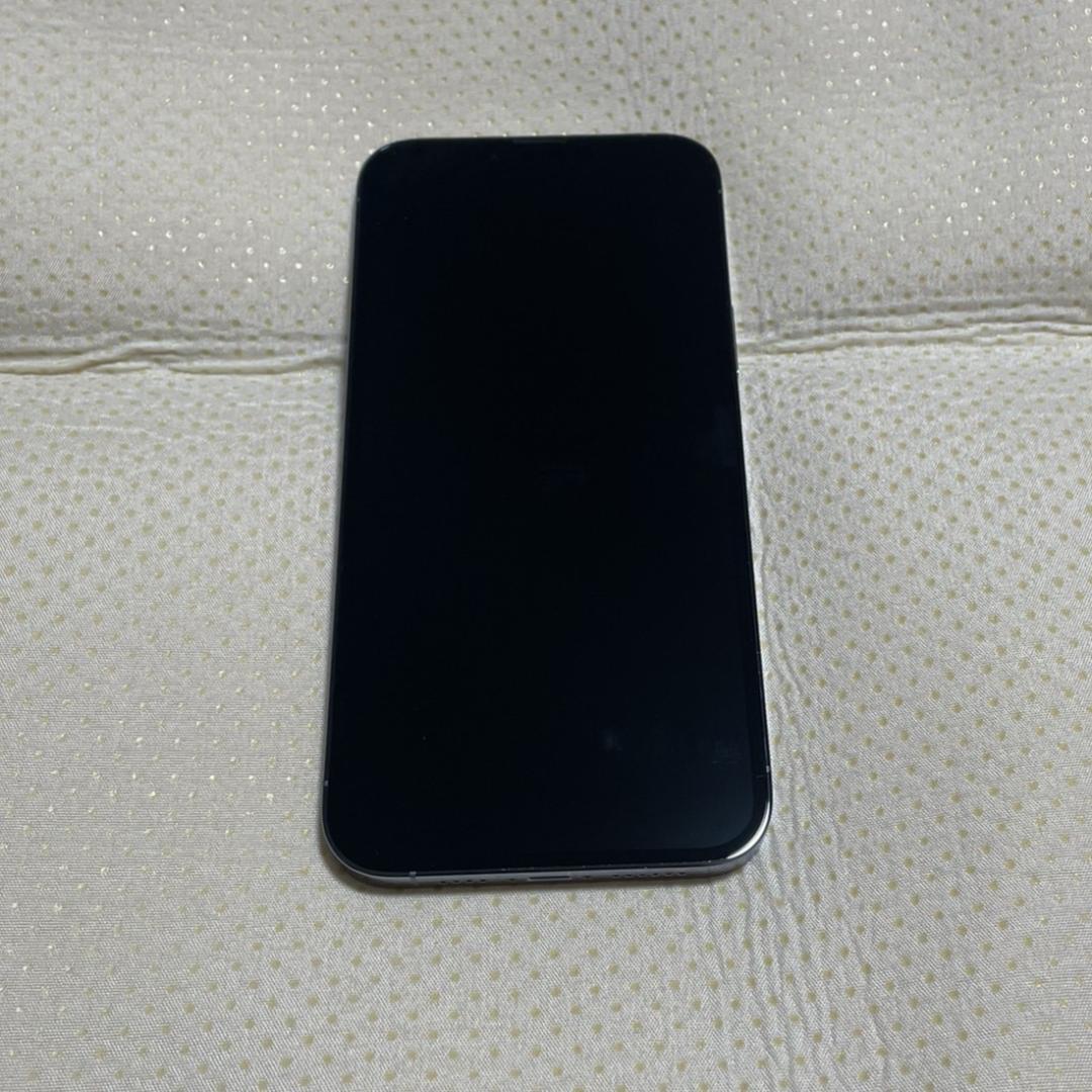 iPhone 13 Pro Max 6.7インチ 256GB SIMフリー