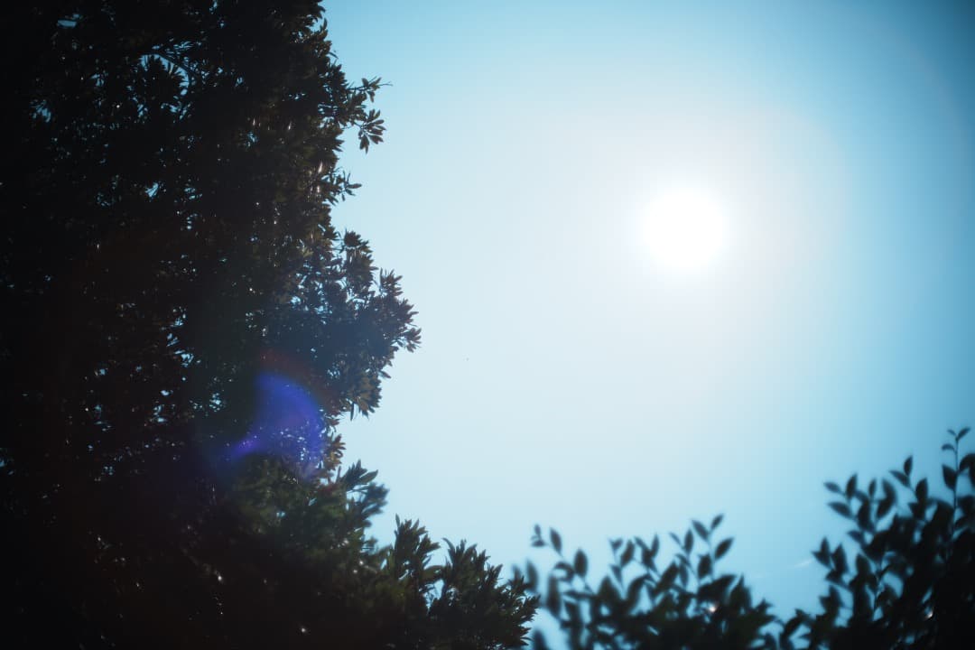 【和製貴婦人】動作◎ MC ROKKOR-PG 50mm F1.4 923