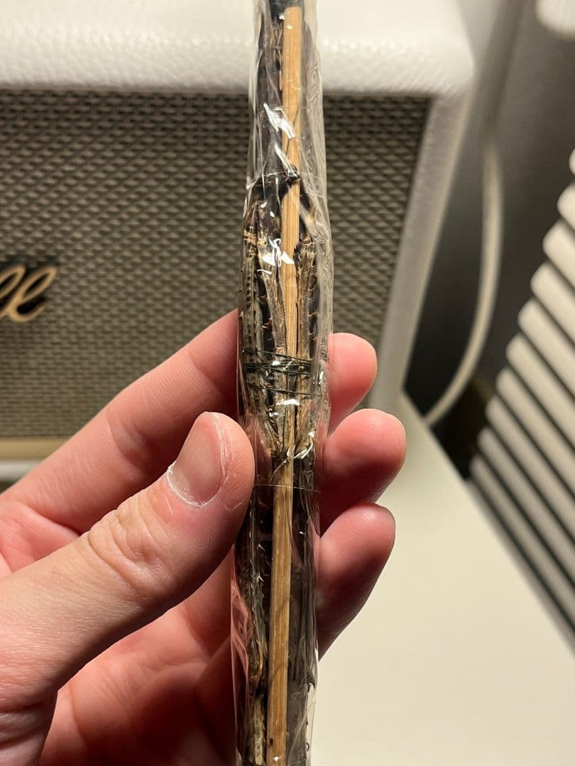 Tirachoidea westwoodiiナナフシ 標本 コノハムシタランチュ