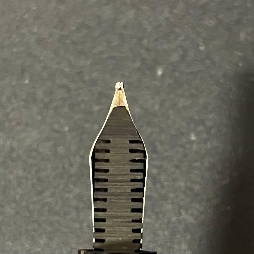 オマス 万年筆 リミテッドエディション レフ・ヴァウェンサ B