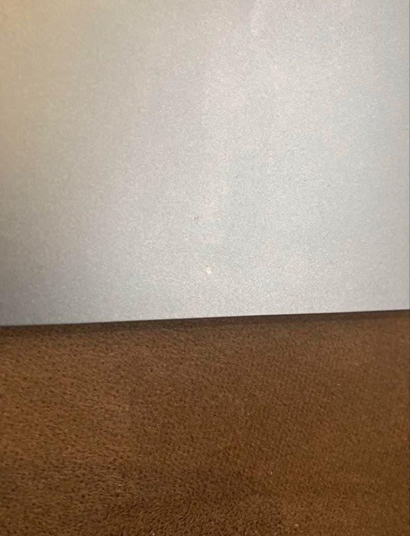 カ*ワ様 iPad Pro 12.9 第三世代 256GB