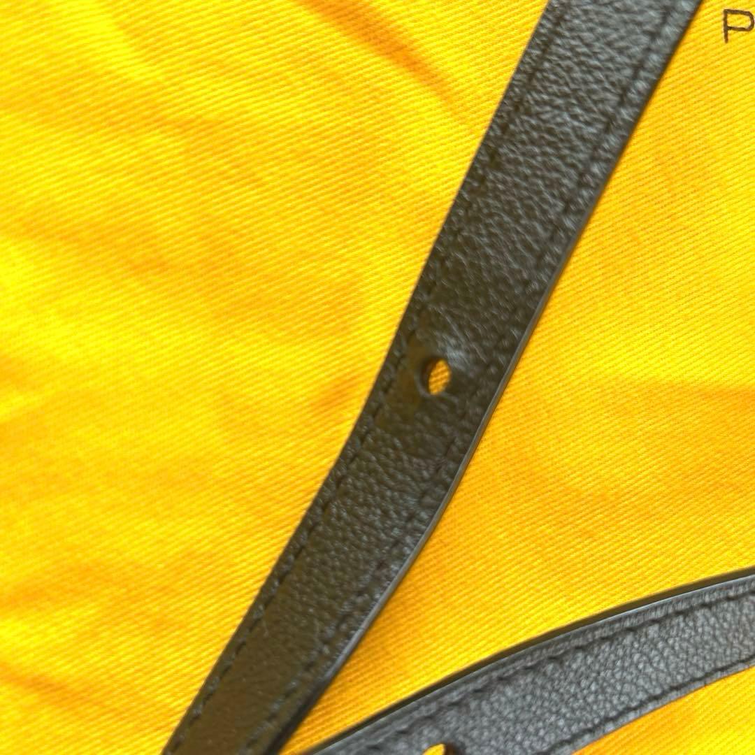 GOYARD ゴヤール　プティフロバケットバッグ　PM ブラック