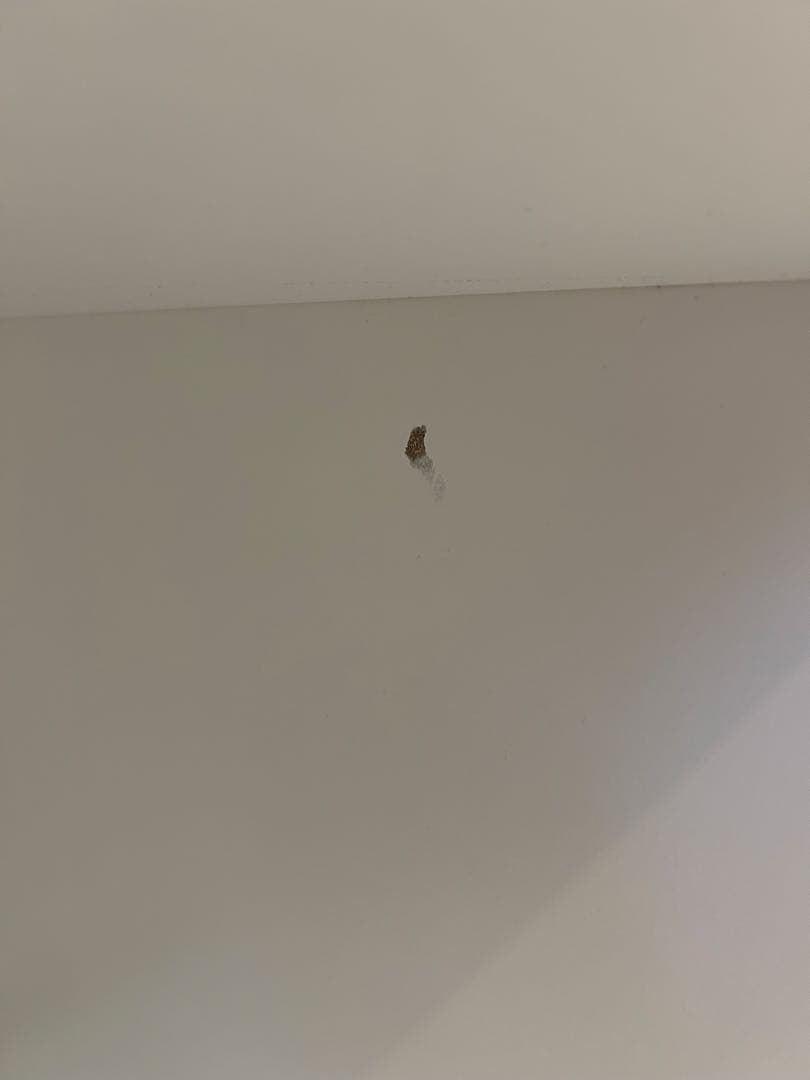 IKEA カラックス　KALLAX