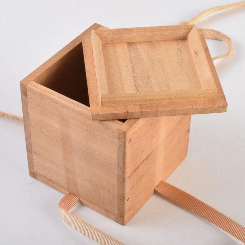 茶道具　塗師　越山作　銀杏蒔絵　中棗　共布共箱　V　9193