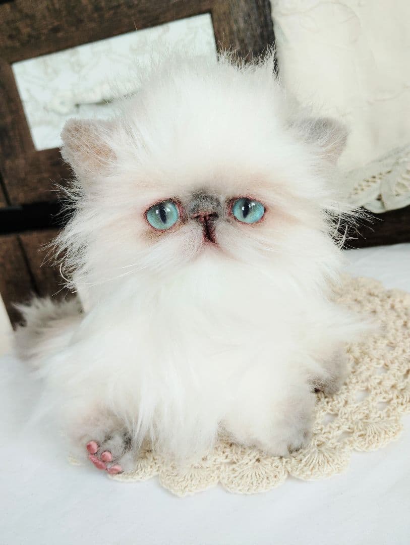 ヒマラヤン♡子猫のミミちゃん♡アートドール♡ぬいぐるみ♡