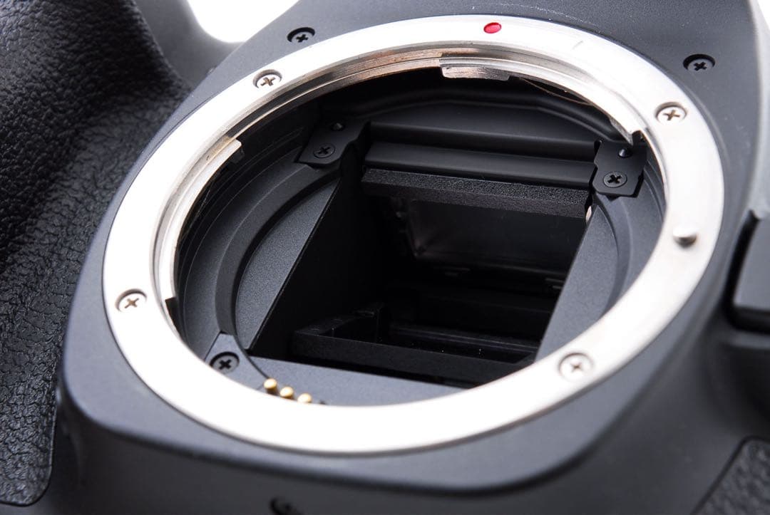 デジタル一眼レフカメラCanon EOS 80D標準&望遠ダブルレンズセット