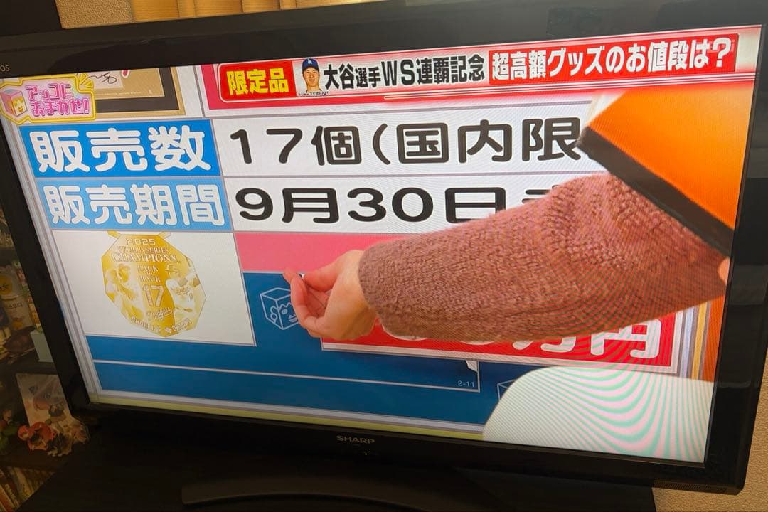 SHARP LC-40E9 40インチ液晶テレビ