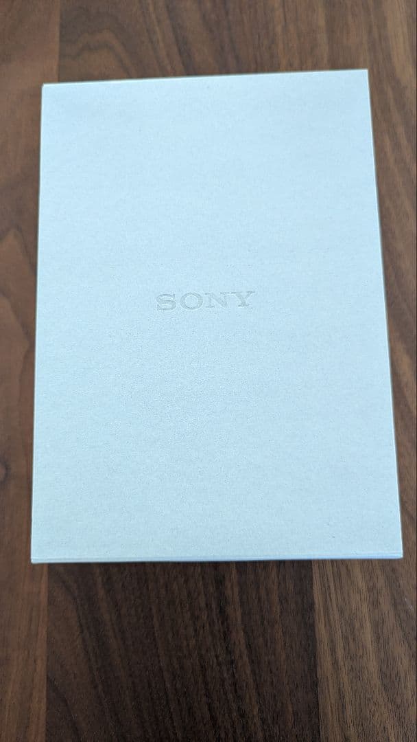 【極美品】SONY NW-WM1ZM2 ＋ 純正ケース付 ソニスト購入 室内使用