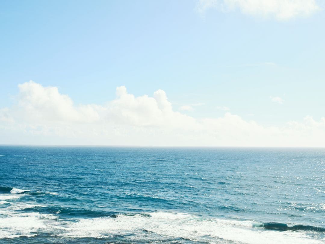 大判カメラ WISTA 45 sp レンズ Gマウントアダプターセット