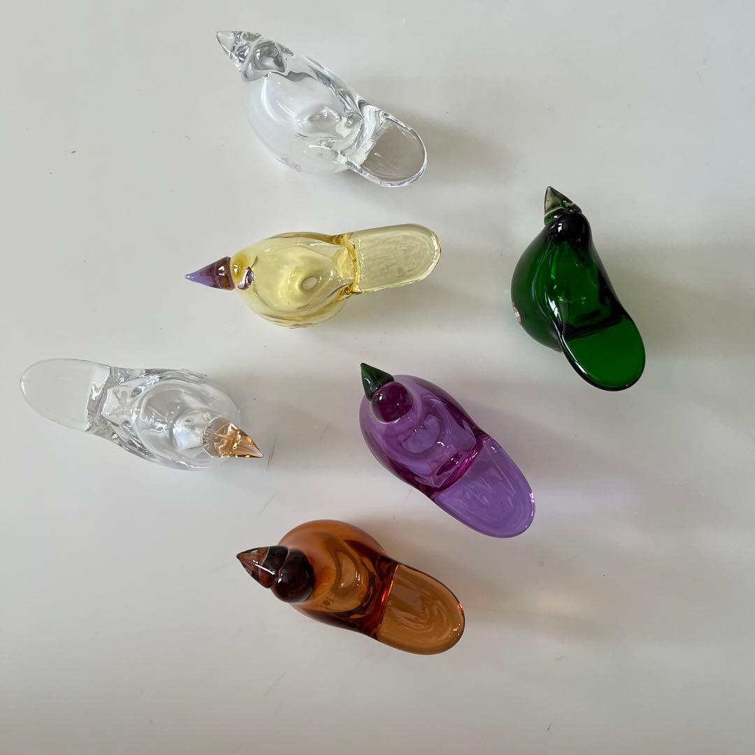 【廃盤品】2015年スコープ別注★イッタ／Sieppo・シエッポ