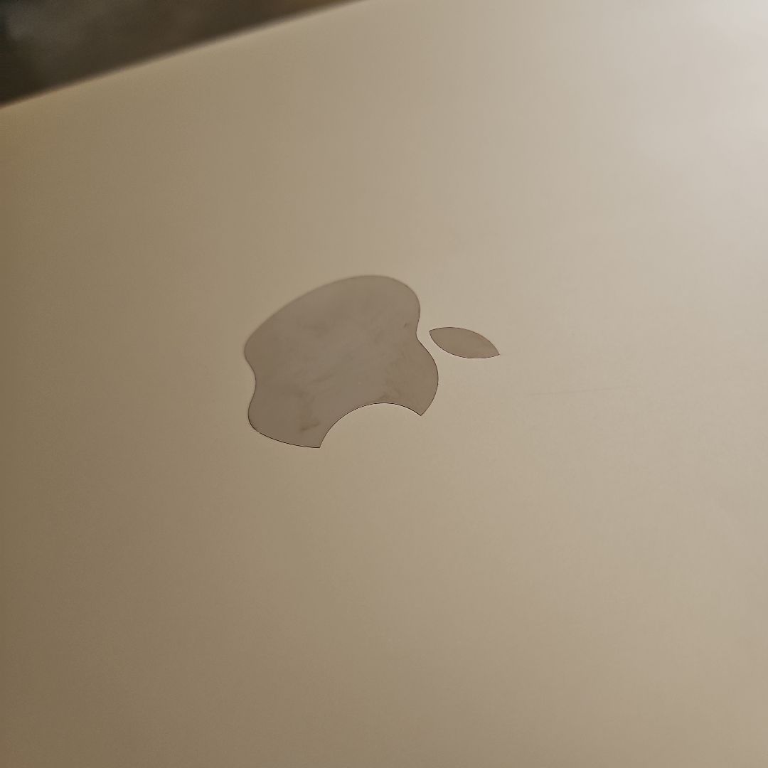 iPad Pro 12.9インチ 128GB Wi-Fi+Cellular