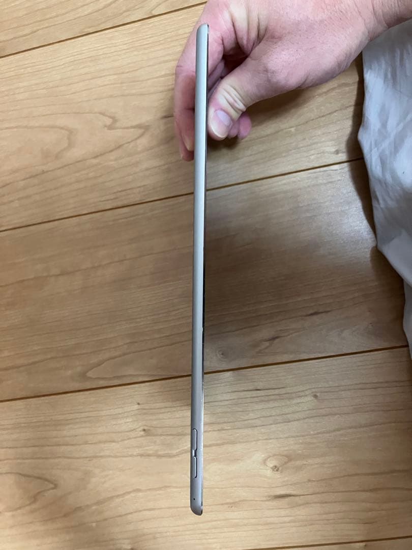 Apple iPad air2 128GB ケース・フィルム付